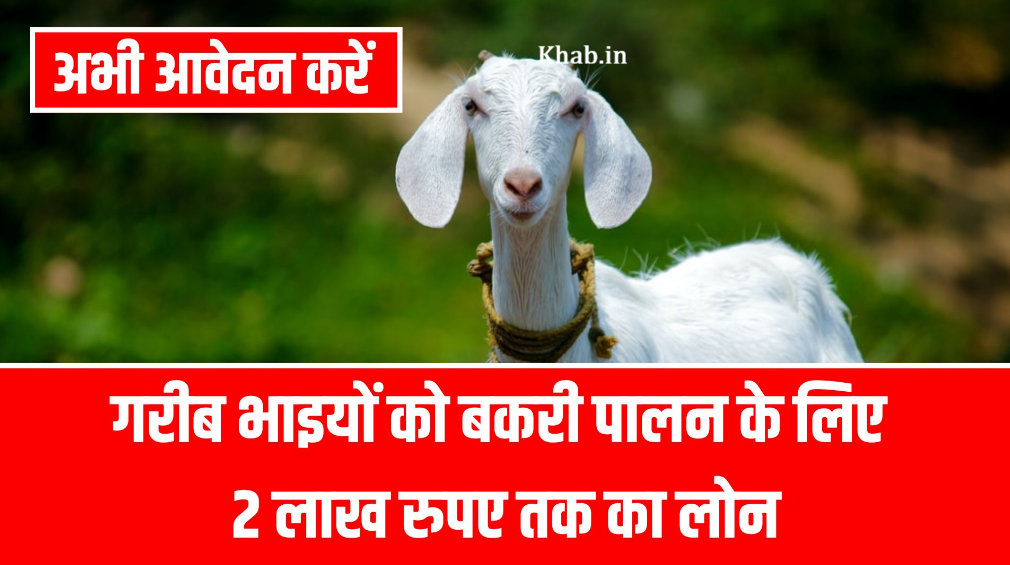 Bakri Palan Loan Apply Online 2026